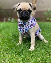 Load image into Gallery viewer, Leopard Love -Adjustable Harness