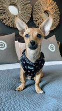 Load image into Gallery viewer, Hugs & Kisses -Adjustable Harness