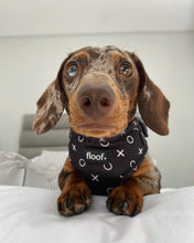 Load image into Gallery viewer, Hugs & Kisses -Adjustable Harness