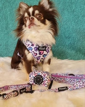 Load image into Gallery viewer, Leopard Love - Poo bag holder