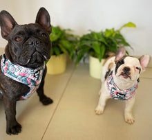 Load image into Gallery viewer, Pup of Paradise -Adjustable Harness