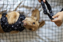 Load image into Gallery viewer, Hugs & Kisses - Collar