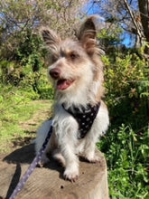 Load image into Gallery viewer, Hugs & Kisses -Adjustable Harness