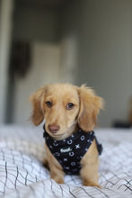 Load image into Gallery viewer, Hugs & Kisses -Adjustable Harness