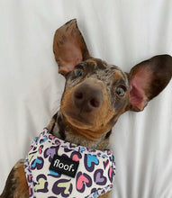 Load image into Gallery viewer, Leopard Love -Adjustable Harness