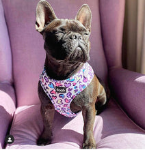 Load image into Gallery viewer, Leopard Love -Adjustable Harness