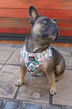 Load image into Gallery viewer, Pup of Paradise -Adjustable Harness