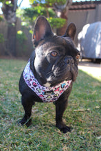 Load image into Gallery viewer, Leopard Love -Adjustable Harness