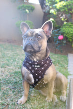 Load image into Gallery viewer, Hugs & Kisses -Adjustable Harness