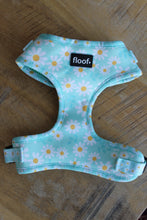 Load image into Gallery viewer, Walking Miss Daisy -Adjustable Harness