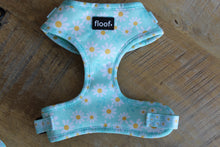 Load image into Gallery viewer, Walking Miss Daisy -Adjustable Harness