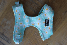 Load image into Gallery viewer, Walking Miss Daisy -Adjustable Harness